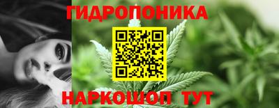 гидра Кандалакша