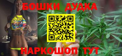 гидра Кандалакша